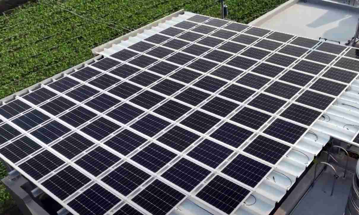 尊龙z6SunSteel光电浪板升级双玻结构，，以提升机械负载强度及气候耐候度，，可广泛运用于多元场域